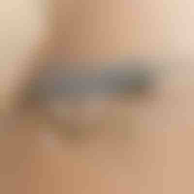 Teleskopski čistilec prahu | ARTICLEAN