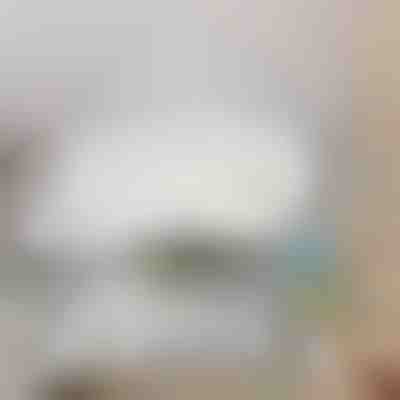 Stropni ventilator z led lučjo | FANGLO