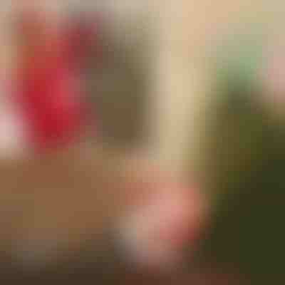 Božiček s padalom | SANTASWING