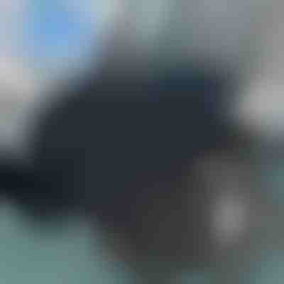 Vrtljiva sedežna blazina | SPINPAD