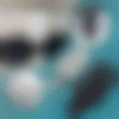 Nosilci za sončna očala v avtomobilu (2 kosa) | MAGSUNS