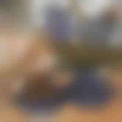 Zložljiva skleda za hrano in vodo za hišne ljubljenčke 2-v-1 | WOOFDISH