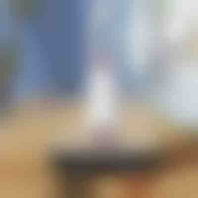 Prenosni čistilec z vpojno gobo | HANDYMOP