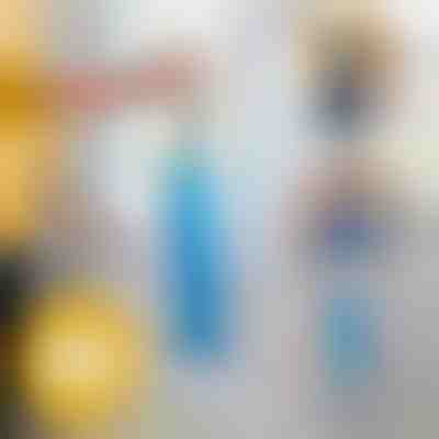 Omelo za prah z dolgim dosegom | DUSTOFF