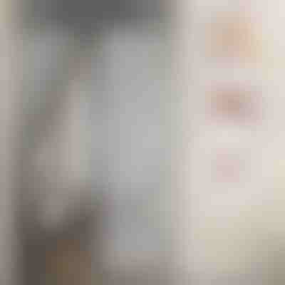 Magnetna mreža proti komarjem | INSECTPROTECT