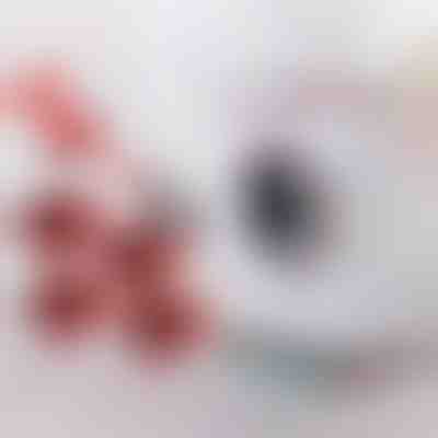 Komplet za premikanje pohištva s 4 drsniki in dvigalom | LIFTROLLERS