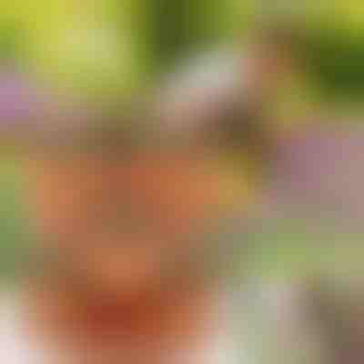 Po višini zložljivi lonci za rože | PLANTUP