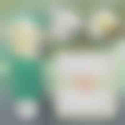 Instantna rešitev za popravilo sten | WALLFIX