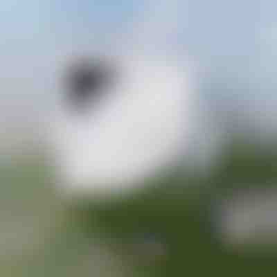 Brezskrbno čiščenje oken | WINDOWSWIPE